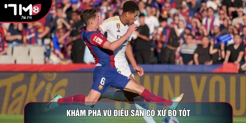 Khám phá vũ điệu sân cỏ xứ bò tót